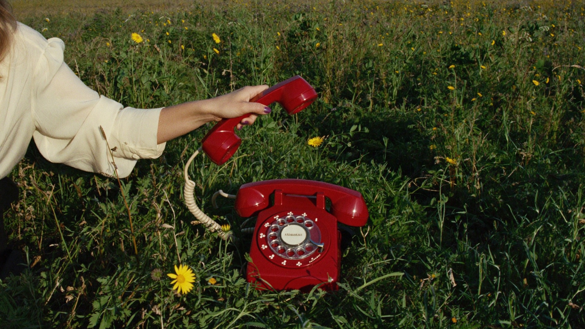 A hand lifting the handset of a red rotary phone standing in a wildflower meadow